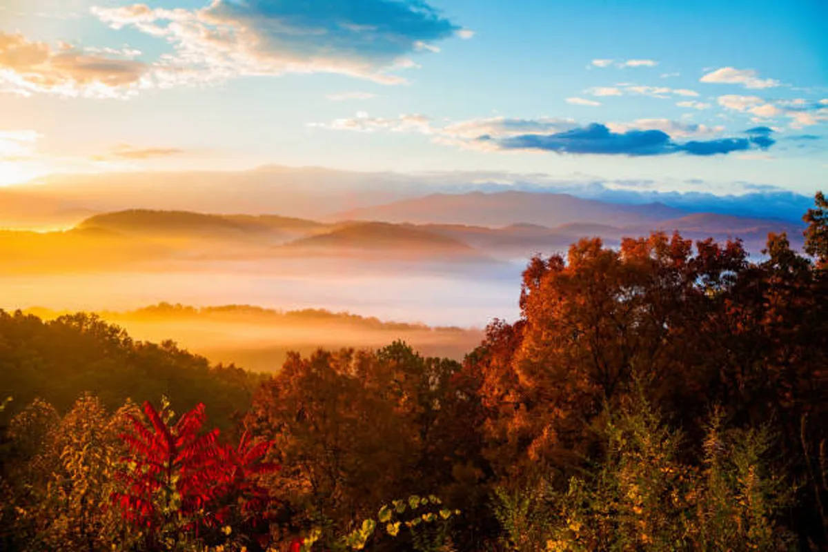 A breathtaking view of a sunset over misty mountain valleys, with vibrant autumn foliage in the foreground and a tranquil atmosphere.